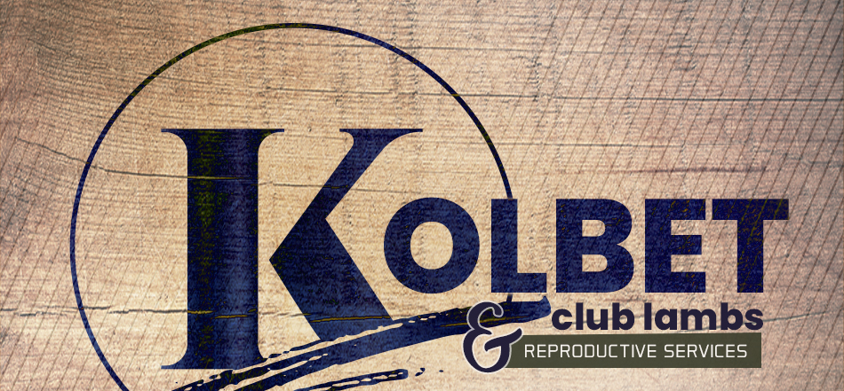 Kolbet Club Lambs and Reproductive Services