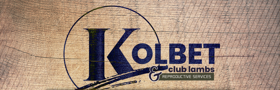 Kolbet Club Lambs